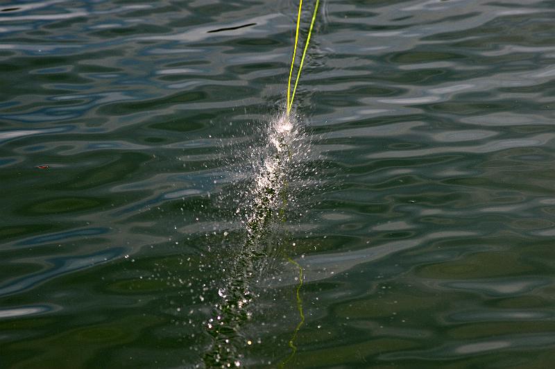 Peche a la mouche a5.jpg